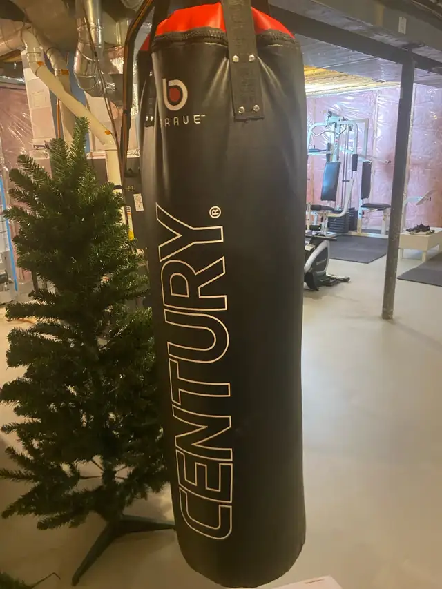 punchbag, gloves, chains and hook swivel427063984428175360