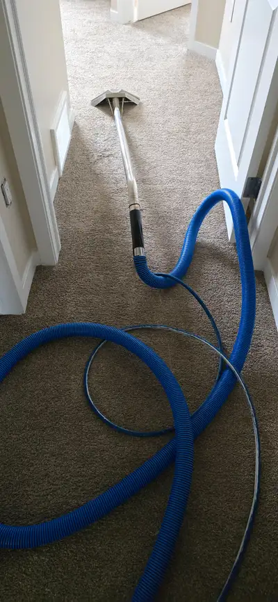 Carpet cleaning, View more