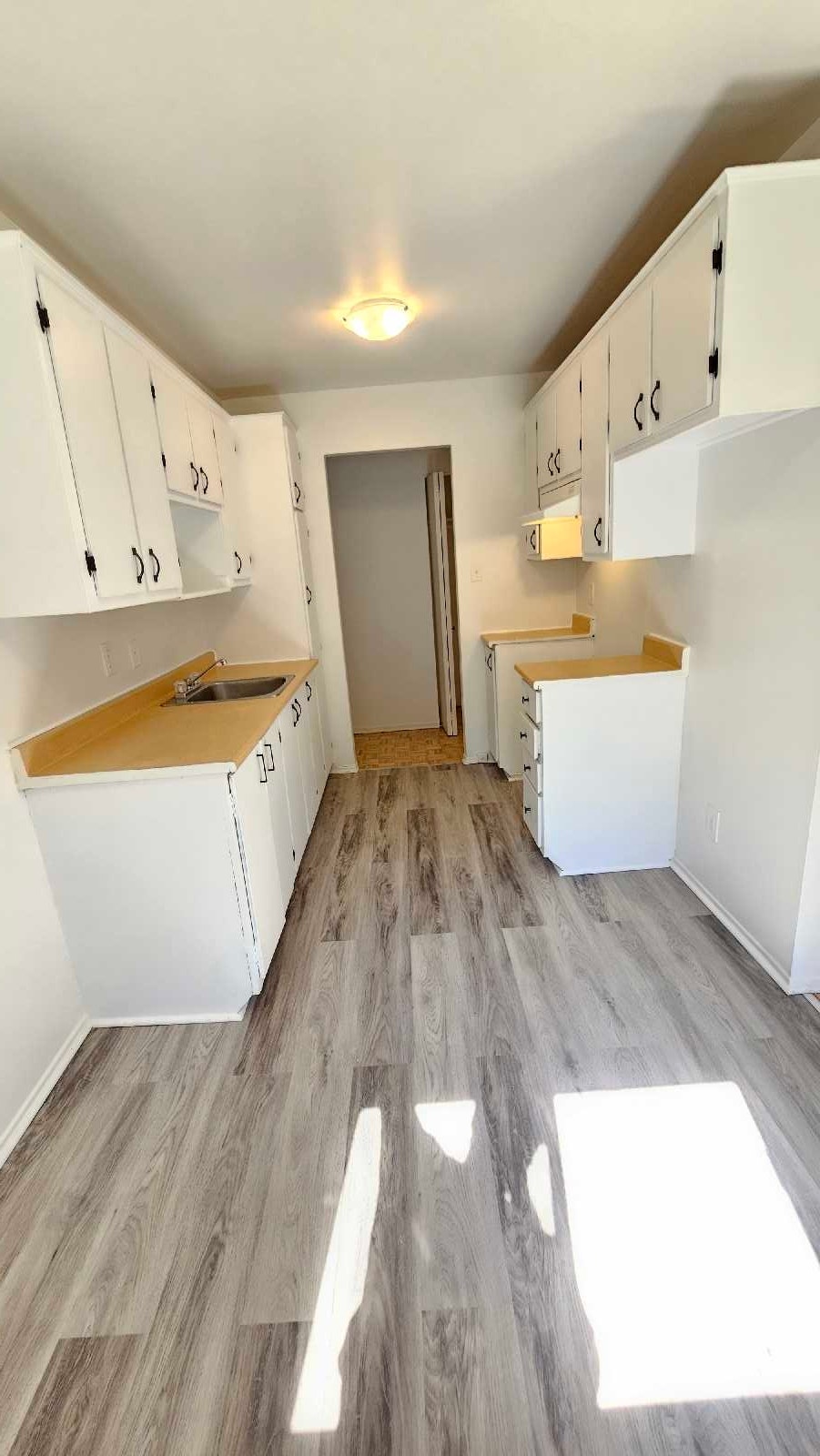 Très beau 4 1/2 Rénové à Vimont Laval disponible immédiatement. — photo 1
