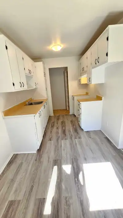 Très beau 4 1/2 situé à Vimont Laval, près de tous les services incluant hôpital Cité de Santé de La...