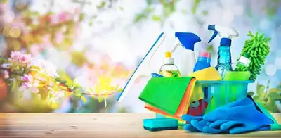 Are you looking for a basic or deep clean, I pay attention to detail and make sure I exceed your nee...