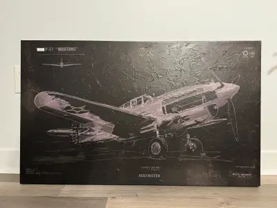USAF P-40 on Canvas , View more
