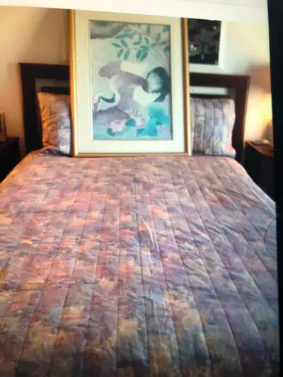 CADRE VITRE ACHETE CHEZ MOBILIA +COUVRE LIT SI INTERESSE, View more