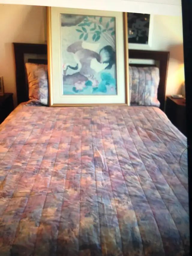 CADRE VITRE ACHETE CHEZ MOBILIA +COUVRE LIT SI INTERESSE in Home Décor & Accents in City of Montréal - Image 3
