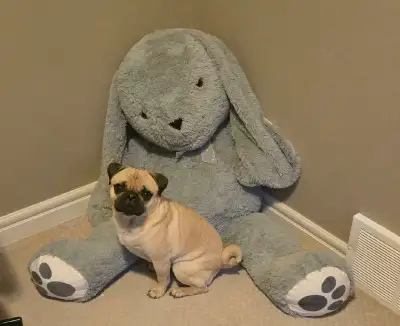 Giant Bunny Rabbit Plush/Stuffie, View more
