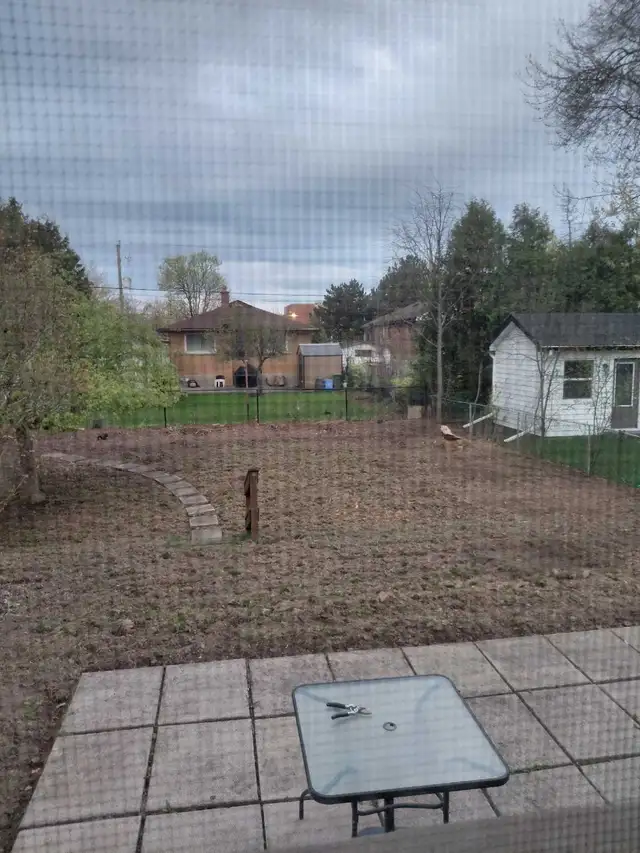 Help Wanted : Yard Work441075129700198400