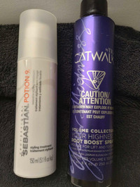 Sebastian & Catwalk hair products 