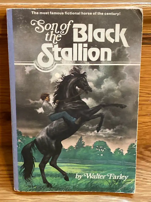 Son of the Black Stallion by Walter Farley vintage paperback  in Fiction in Oshawa / Durham Region - Image 2