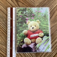 DF Albums Photo Picture Album Booklet Brag Book - Bear Cover