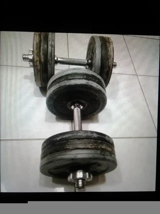 Rubber coated metal weight plates (1 inch hole) $1 per pound  in Exercise Equipment in City of Toronto - Image 5