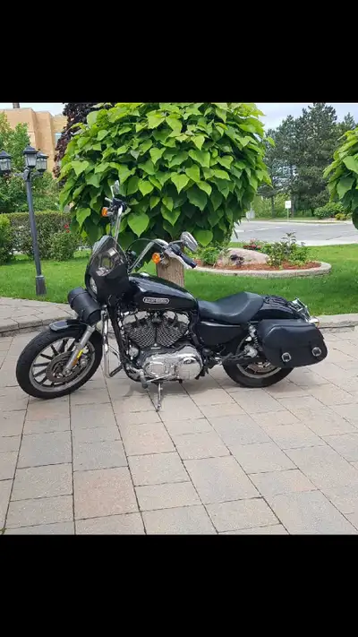 2010 Sportster Low 1200L Short Shots Vance Hines Leather HD Saddlebags Sissy bar 20000kms