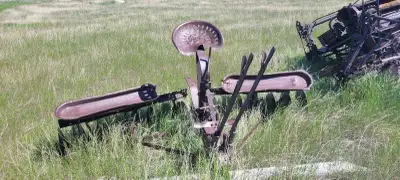 Antique lawn, View more