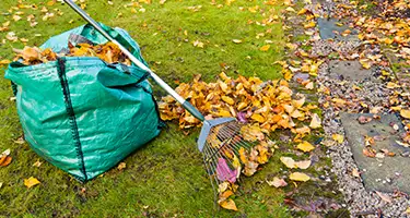 Rake garden 426574839053690881