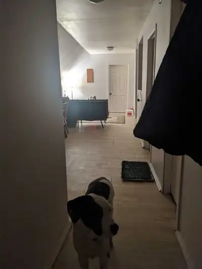 Lease takeover one bedroom that is actually technically a two bedroom as the one small room shown in...