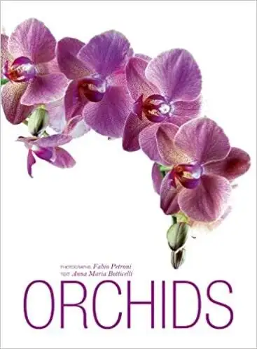Orchids Hardcover Book, View more