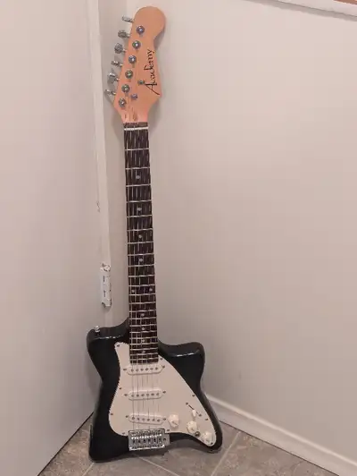 Electric Guitar Le Blob Custom 6 String Academy Guitar, View more