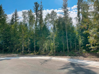 Revelstoke land for sale William's Gate community