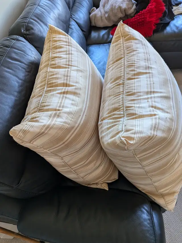 Two Large Pillows65669428034690122