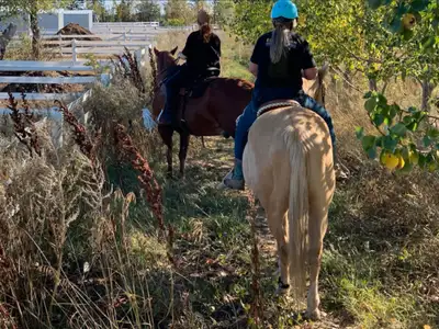 horse boarding Saskatoon , View more