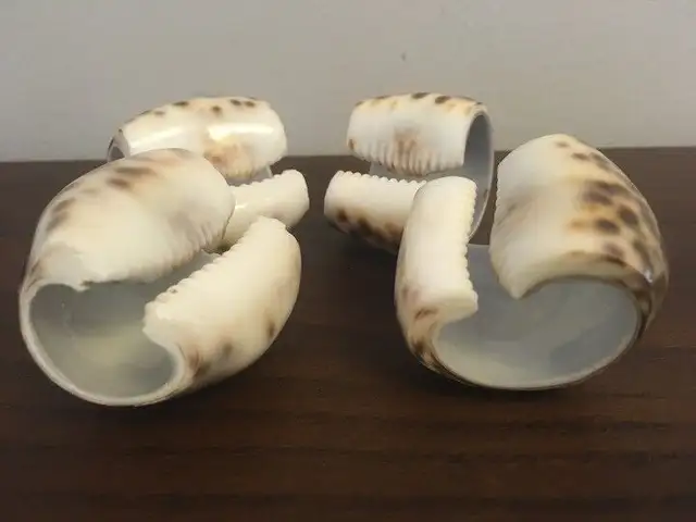 70s 80s Retro Shabby Chic Hand Cut 4 SEASHELL NAPKIN RINGS in Arts & Collectibles in Mississauga / Peel Region - Image 5