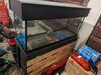 110 gallon fish tank and stand
