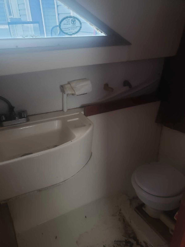 29ft boat with trailer  in Powerboats & Motorboats in Owen Sound - Image 2
