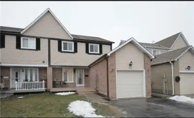 BASEMENT APARTMENT FOR RENT