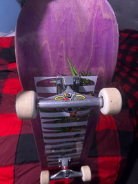 Custom skateboard