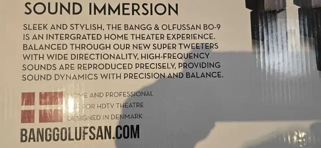 Bangg & Olusfsan Speakers in Speakers in Markham / York Region - Image 4