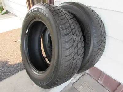 Pair of 225/60-16 MotoMaster SE all seasons tires ** 2 tires available ** One tire near full tread 9...
