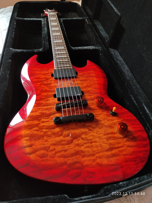 ESP LTD Viper Deluxe 1000 for sale or trade in Guitars in Mississauga / Peel Region - Image 2