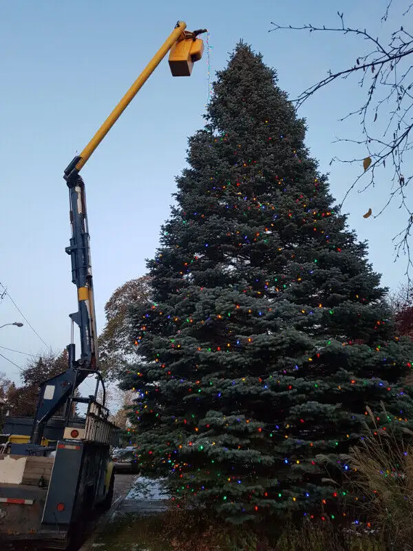 Christmas Lights installation62863230860162121