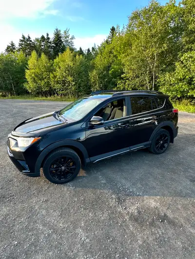 2018 RAV4 Trail Edition - Adventure options include Lombard seats, sunroof, etc.