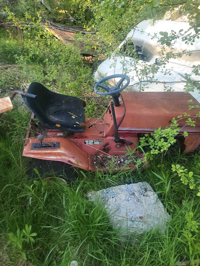 Lawnmowers and snowblowers in Lawnmowers & Leaf Blowers in Kawartha Lakes - Image 4