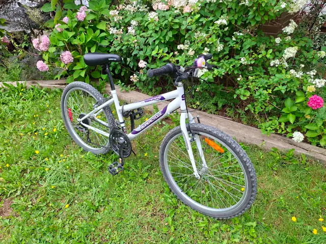 Bicycle 21" wheels, great condition536637266818519041