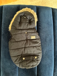 North Fetch Pet Coat City of Toronto Toronto (GTA) Preview