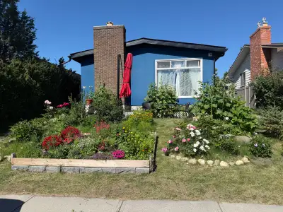 walk to Marlborough train station in 5 minute,the house on inner street(very quiet). Legal basement...