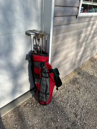 Assorted Golf Clubs With Bag