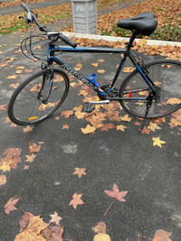 Minelli Bicycle