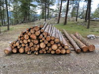 Wood Logs, Fir/Pine.