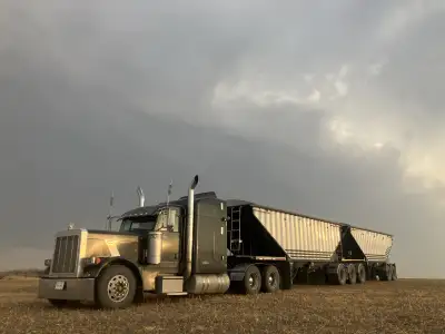 Hauling all grain in southern sk Not insured for fertalizer. Call or text 1-306-640-887eight