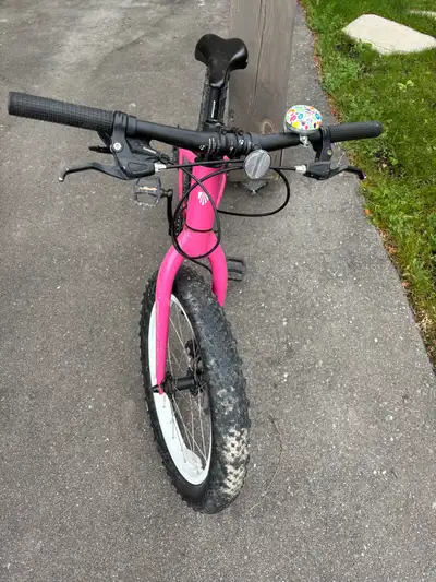 Lightly used 20” Trek Roscoe mountain bike. Aluminum frame, wide stable tires. Great for off road tr...