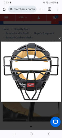 Softball Catchers mask.