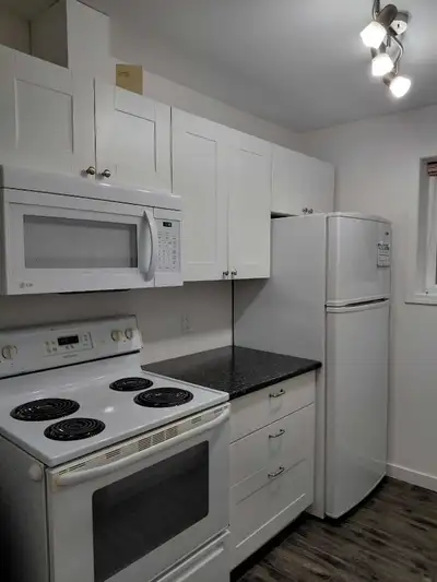 Available March 1st, will be our ground floor, Legal, south facing, one bedroom suite. This suite ha...