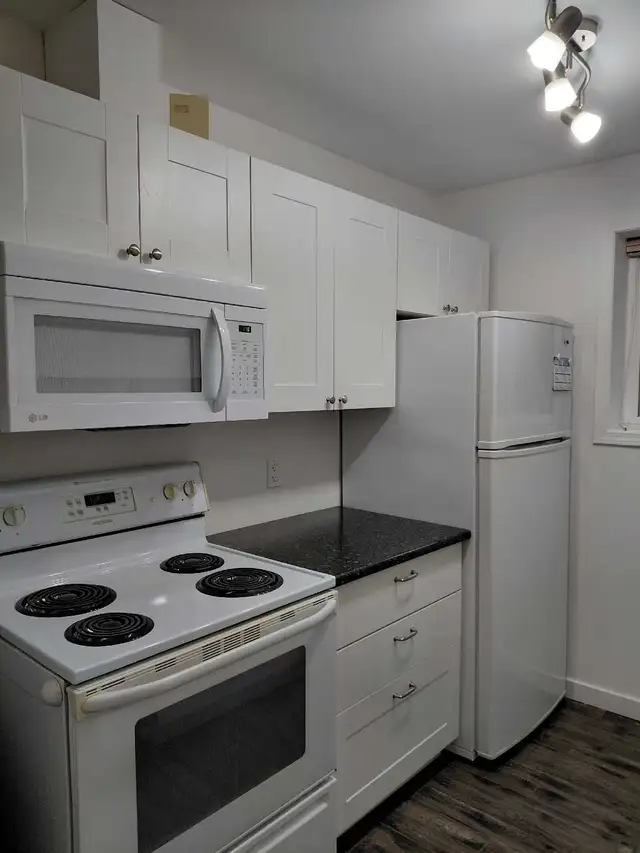 One bedroom Legal ground floor suite for rent March 1st, 2026