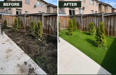 Professional Landscaping Services, View more