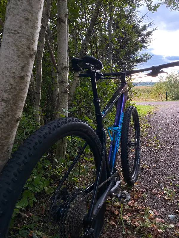 Cannondale Scalpel HT 2 in Mountain in Moncton - Image 5