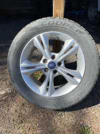 Tires on Ford Focus Rims  (4)