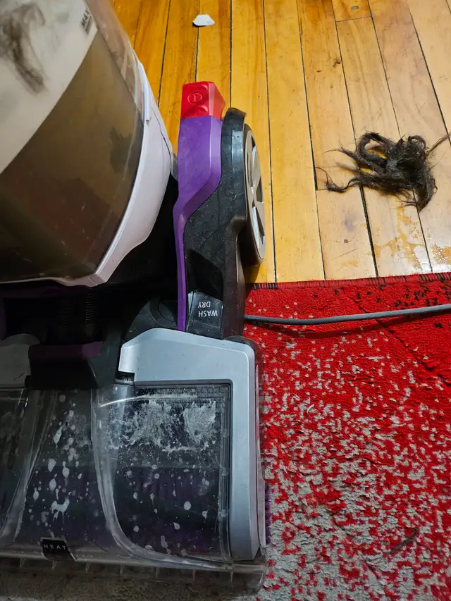 Carpet cleaning, house keeping552489614186260487
