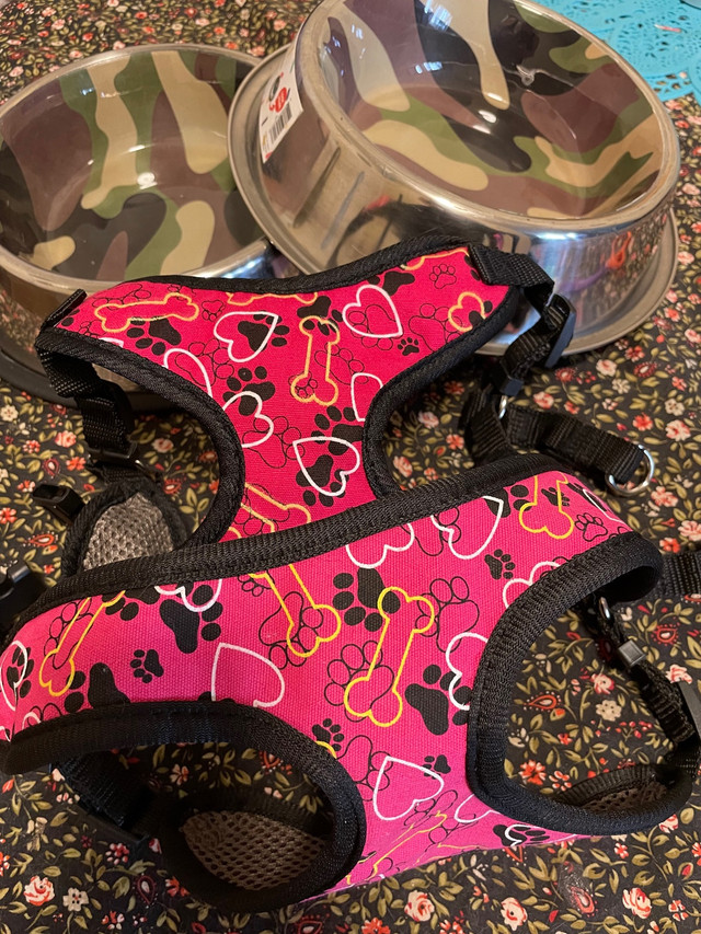 Dog Harnesses & Food Bowls in Accessories in Kingston